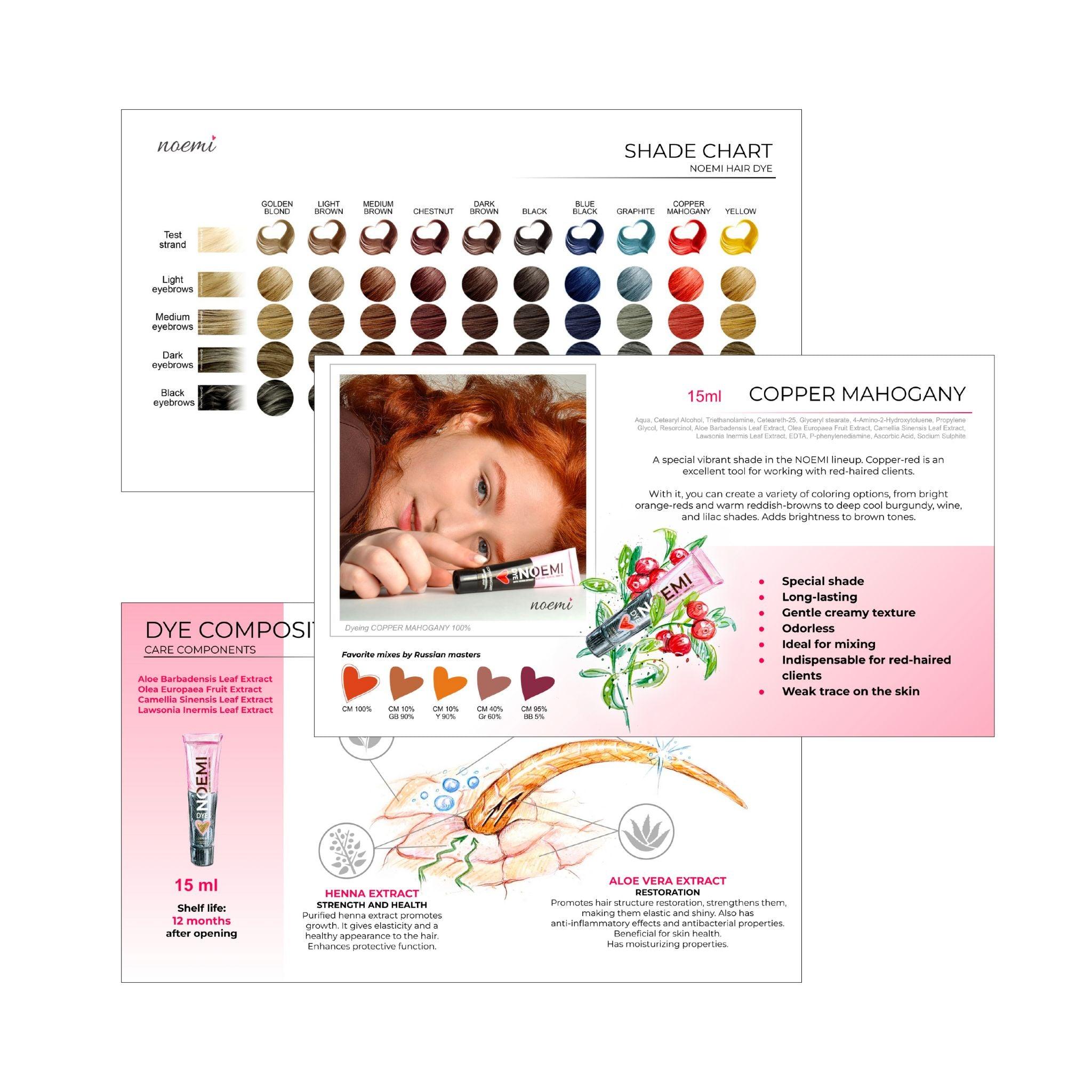 Noemi Hybrid Dye Technical Manual FREE (E-Book) - The Beauty House Shop